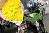 Flowers at the Bangkok Flower Market