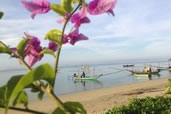 Fishing Boats near Chumphon Pier