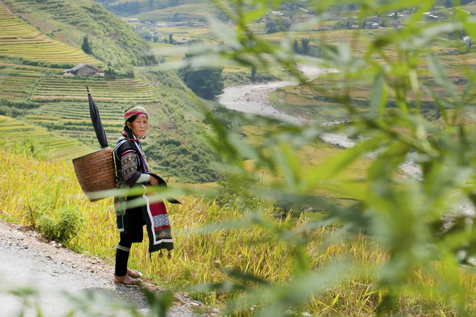 Hill tribe woman, Sapa