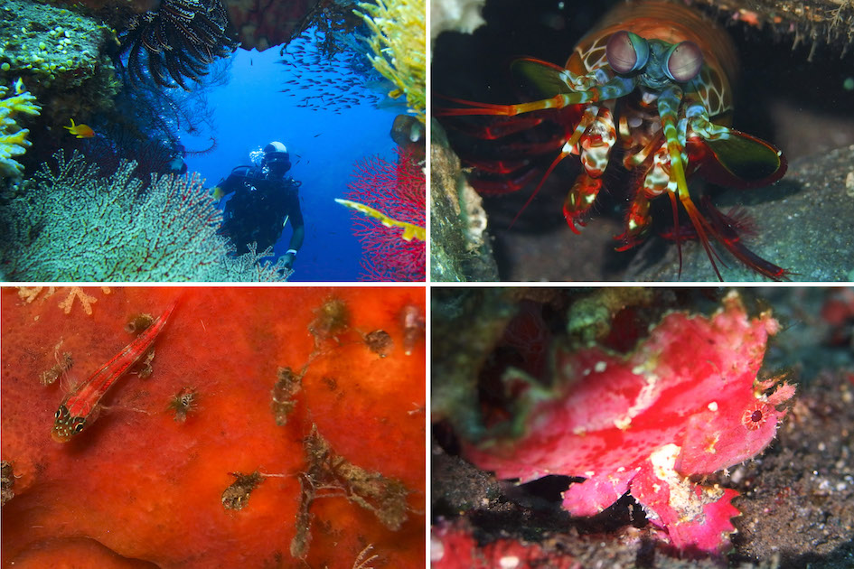 The rainbow colors of the Japanese Wreck, Amed, Bali, Indonesia